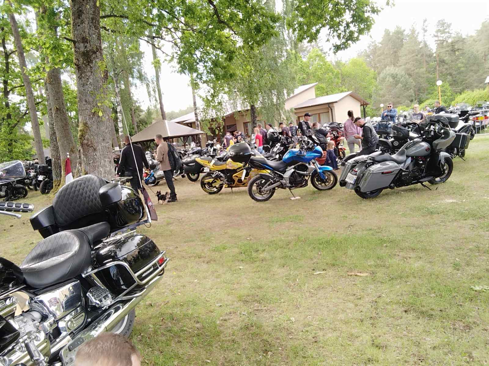 Biker Nights 2026